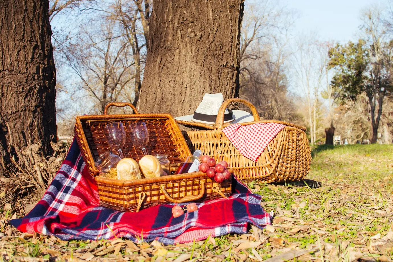 picnic basket